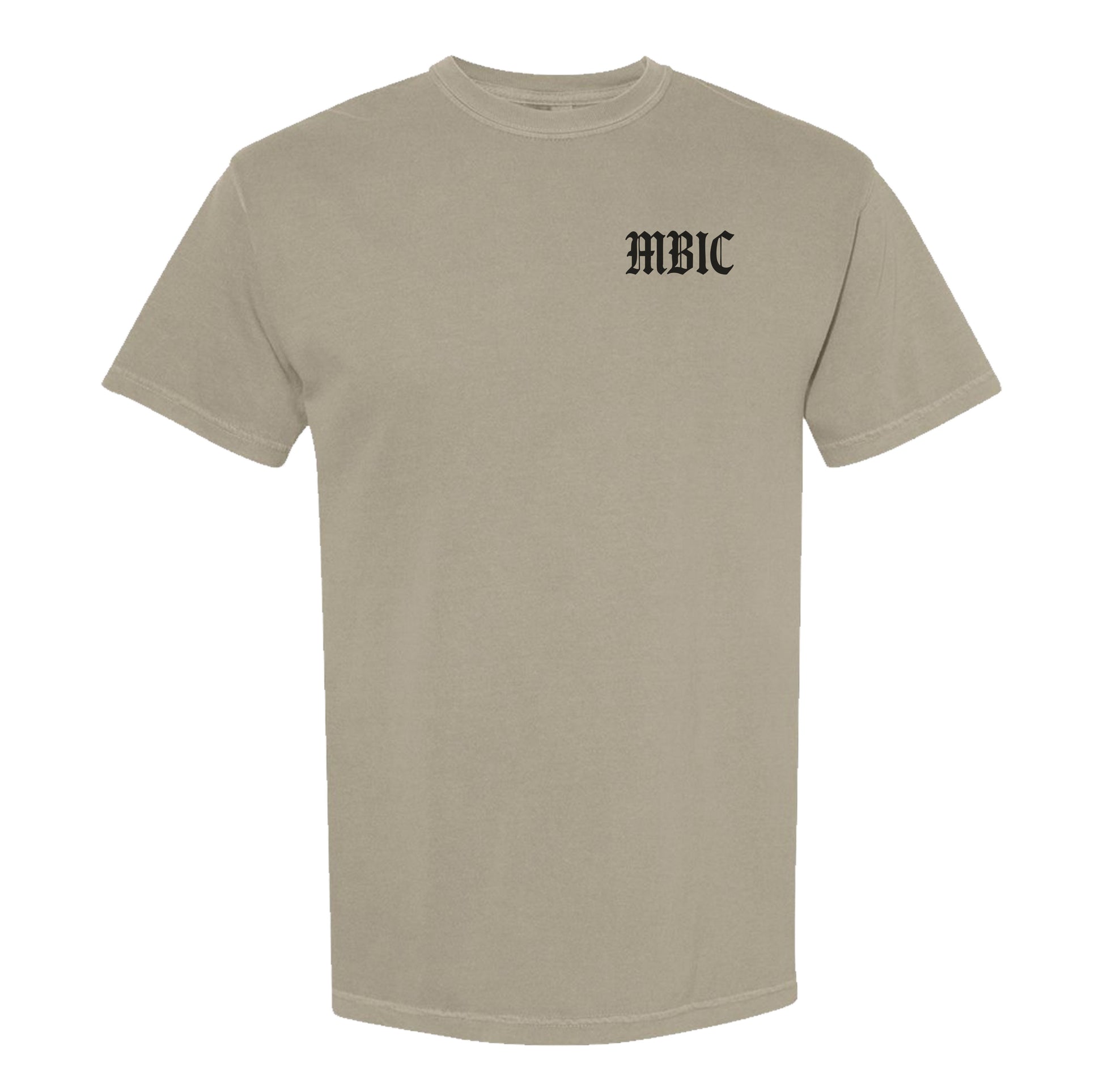 ASIP Heavyweight Tee